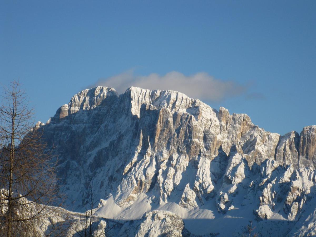 Casa Nevexenne & La Casa Di Blek Alleghe